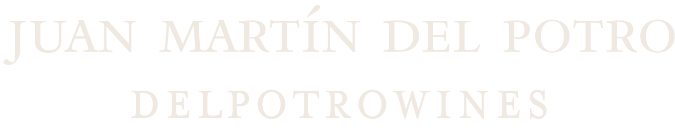 Juan Martín del Potro