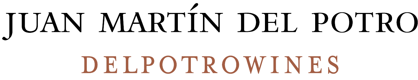 Juan Martín del Potro
