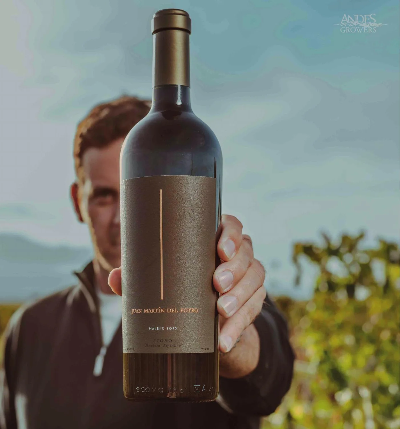 Del Potro