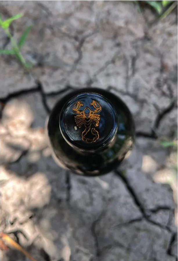 Alacrán vineyards